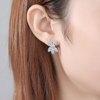 Jinse Feiluo Ohrringe Koreanische Mode Temperament Frauen Zirkon Ohrringe Ohrringe Kreative Neue Kupfer Eingelegtes Zirkonium Ohrringe main image 3
