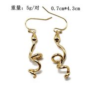 Golden Spiral Serpentine Pendant Earrings Animal Styling Earrings Zodiac Snake Earrings main image 3