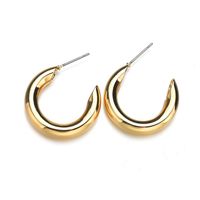 Fashion Coarse Alloy C-shaped Oblique Section Earrings Nhbq156412 main image 7