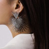 Simple Fan-shaped Exaggerated Tassel Geometric Earrings Nhxr156826 main image 3