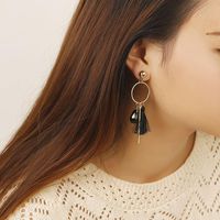 Koreanisches Temperament Einfache Urlaubs Stil Lange Federn Elegante Ohrringe Super Feen Quasten Ohrringe Frauen Fabrik Direkt Vertrieb main image 1
