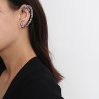 Ornement Tous-match Creative En Forme De Coeur Micro-incrusté Boucles D'oreilles Pour Les Femmes En Europe Et En Amérique Croix Frontière Exagérée Personnalisé Dragon En Forme De Boucles D'oreilles main image 6