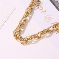 Wholesale Fashion Jewelry Metal Thick Chain Necklace Choker Ladies Necklace main image 4