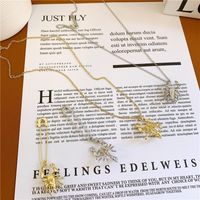 Wholesale Fashion Jewelry Pin Braid Earrings Braid Sweater Chain Necklace main image 3