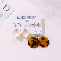 Wholesale Fashion Jewelry Round Acetate Leopard Card Earrings 5 Pairs Of Aircraft Geometric Earrings main image 6