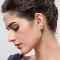 Steel Stud Earrings Flower Wild Inlay Aaa Zircon Fashion Jewelry Wholesale main image 4