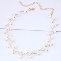 Europäische Und Amerikanische Mode Süße Und Elegante Perle Persönlichkeit Halskette Halskette sku image 1