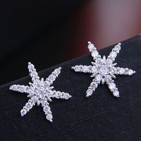 Fashion Sweet Ol Shine Starfish Personality Earrings main image 3