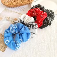 Hair Accessories Female Simple Cashew Flower Large Intestine Hair Ring Does Not Hurt Hair Rope Rope Rope main image 3