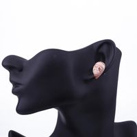 Jewelry New Animal Resin Earrings main image 5