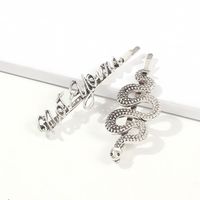 Exaggerated Retro Hair Accessories, Exquisite Personality, Flattering Hair Clip, Wild Word Clip Side Clip Set main image 4