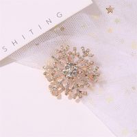 Fashion Snowflake Alloy Plating Diamond Artificial Gemstones Unisex Brooches main image 4