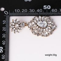Wholesale Earrings Vintage Acrylic Ladies Earrings main image 4