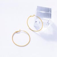 Fashion Geometric Net Red Earrings Winter New Ring Earrings Hoop Earrings main image 4