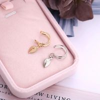 Wholesale Jewelry Vintage Style Leaf Alloy No Inlaid Plating Earrings main image 4