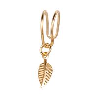 Wholesale Jewelry Vintage Style Leaf Alloy No Inlaid Plating Earrings main image 6