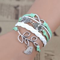 Wholesale Spot Fashion Ancient Silver Owl Bright Leather Rope Bracelet main image 3