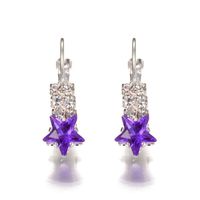 Star Crystal Hundred Earrings Beautiful Shiny Four-claw Diamond Earrings Women Wholesale main image 3