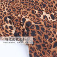 Leopard Scarf Women's New Fashion Long Shawl Outdoor Shopping Warm Scarf main image 4