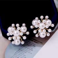 Pearl Size Pearl Temperament Earrings Female Fashion Earrings 925 Silver Needle Ear Jewelry main image 4
