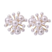 Pearl Size Pearl Temperament Earrings Female Fashion Earrings 925 Silver Needle Ear Jewelry main image 6