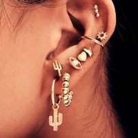 Women's Punk Cactus Eye Combination Ear Stud Ear Clip Combination Set Of 9 main image 1