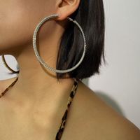 Personalized Hip-hop Exaggerated Big Ear Hoops Lady Punk Earrings Earrings main image 2