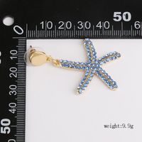 New Earrings Earrings Female Starfish Blue Wild Temperament Pentagram Jewelry main image 5