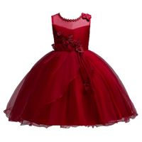 Dress Children Lace Skirt Princess Net Gown Dress Skirt Sleeveless Dress Small Host Performance Dress main image 3
