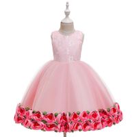 Commerce Extérieur Populaire Style Enfants Robe Filles De Pettiskirt Ourlet Fleur Costume Fleur Enfants Robe De Bébé Plein-année Baptême Robe sku image 5