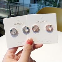 925 Silver Pin Micro Inlaid Zircon Crystal Ring Earrings Girl Fashion Mini Garland Earrings Flowers Earrings main image 6