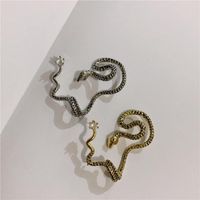 Ear Pierced Earrings Earrings Snake Body Earring Copper Earrings main image 2