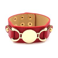 Modeschmuck Großhandel Europäische Und Amerikanische Pu-legierung Armband Europäische Standard Persönlichkeit Metall Pu Leder Armband Frauen Breites Armband Mehrfarbig main image 3