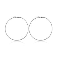 Alloy Fashion Geometric Earring  (alloy)  Fashion Jewelry Nhnz1329-alloy main image 2