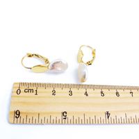 Alloy Fashion  Earring  (earrings)  Fashion Jewelry Nhom1579-earrings main image 4