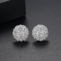 Alloy Korea Flowers Earring  (platinum-t02a19)  Fashion Jewelry Nhtm0669-platinum-t02a19 main image 1