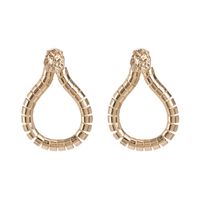 Alloy Simple Geometric Earring  (51688)  Fashion Jewelry Nhjj5645-51688 main image 2