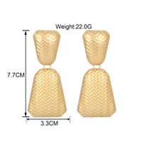 Womens Geometry Electroplated Metal Matte Series Earrings Ct190410116650 main image 3