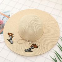 Fashion Korean Ladies Embroidery Big Beach Straw Hat Xb190412116991 main image 3