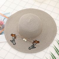Fashion Korean Ladies Embroidery Big Beach Straw Hat Xb190412116991 main image 4