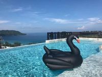 Wanmei Großhandel Aufblasbare Schwarze Schwäne Schwimmende Reihe Für Erwachsene, Die Im Wasser Spielen Aufblasbares Roségold Flamingo Reittier Farbe Pegasus sku image 1