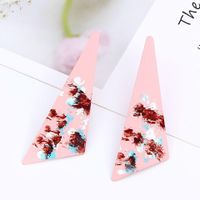 Unisex Geometry Dropper Metal  Fashion Wild Earrings Rr190419118321 sku image 2