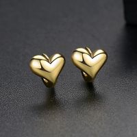 Womens Heart Shaped Copper Earrings Tm190423118857 sku image 2