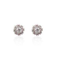 Style Coréen 925 Boucles D'oreille En Argent Simple Gracieux Zircon Cubique Zircone Fleur Stud Boucles D'oreilles sku image 1