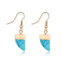 Womens Geometric Plastic Resin Irregular Horn  Earrings Go190430120005 main image 1