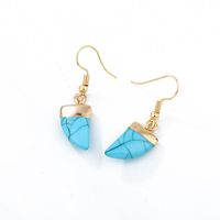 Womens Geometric Plastic Resin Irregular Horn  Earrings Go190430120005 main image 7