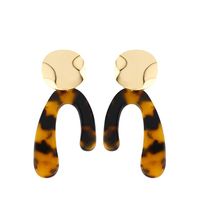 Europäische Und Amerikanische Einfache Heiß Verkaufte Geometrische Ohrringe  Neue Acryl Acetat Platte Leoparden Ohrringe Erp61 main image 9