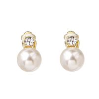 Womens Temperament Shell And Beads Alloy Earrings Nhjj121727 main image 15