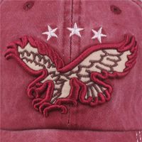 Embroidered Flying Eagle Male And Female Caps Nhzl122247 main image 3