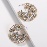 Womens Geometry Electroplating Alloy Earrings Nhjq122775 main image 5